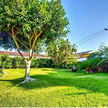 La Casa Del Ficus