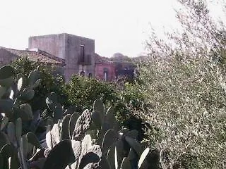 La Casa Del Ficus Stazzo