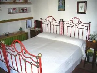 La Casa Del Ficus