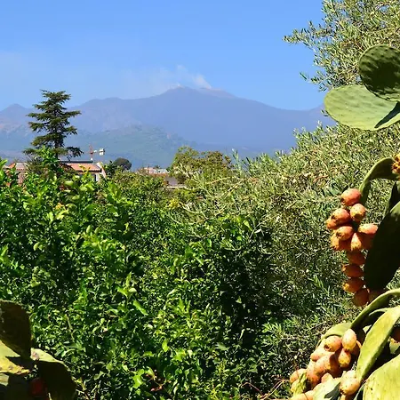 La Casa Del Ficus Stazzo