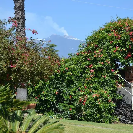 Frühstückspension La Casa Del Ficus